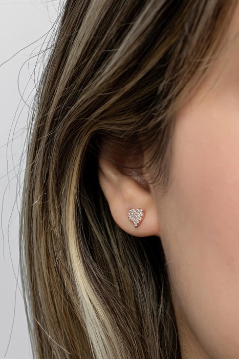 Heliophilia Silver Pendientes de Plata de Ley 925 con Oro Rosa y Circón NRZ999471 Heliophilia Silver Pendientes de Plata de Ley 925 con Oro Rosa y Circón NRZ999471